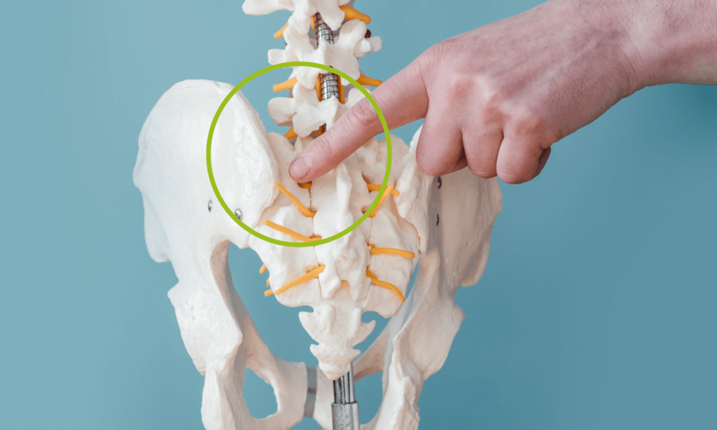 Iliosakralgelenk bei Hüftschmerzen beim Gehen